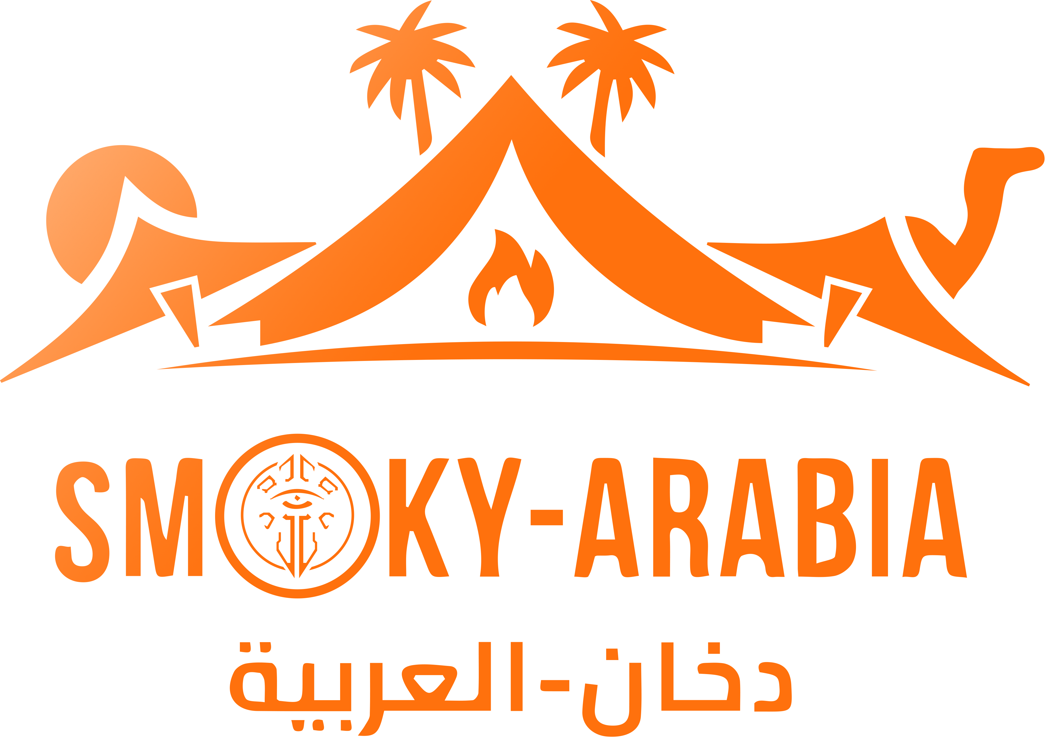 arabian night tours desert safari